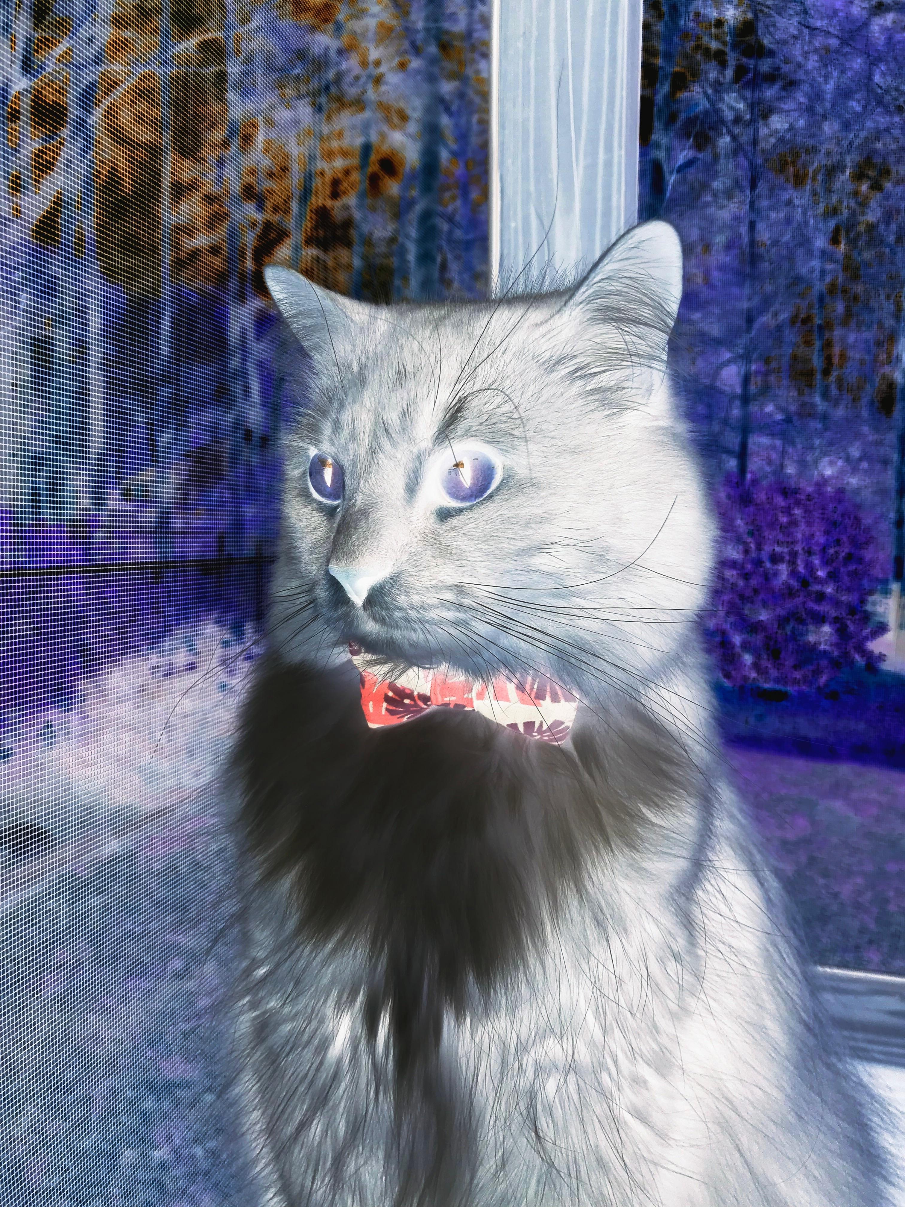 爱游戏大厅-一厘米绝杀，当欧文的指尖在篮板后勾勒出不可能弧线