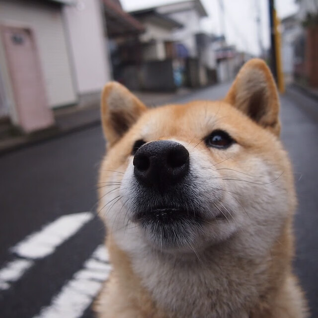 尼日利亚飞翼斩落皇马,比利亚雷亚尔一役让国家德比沦为荣誉之战