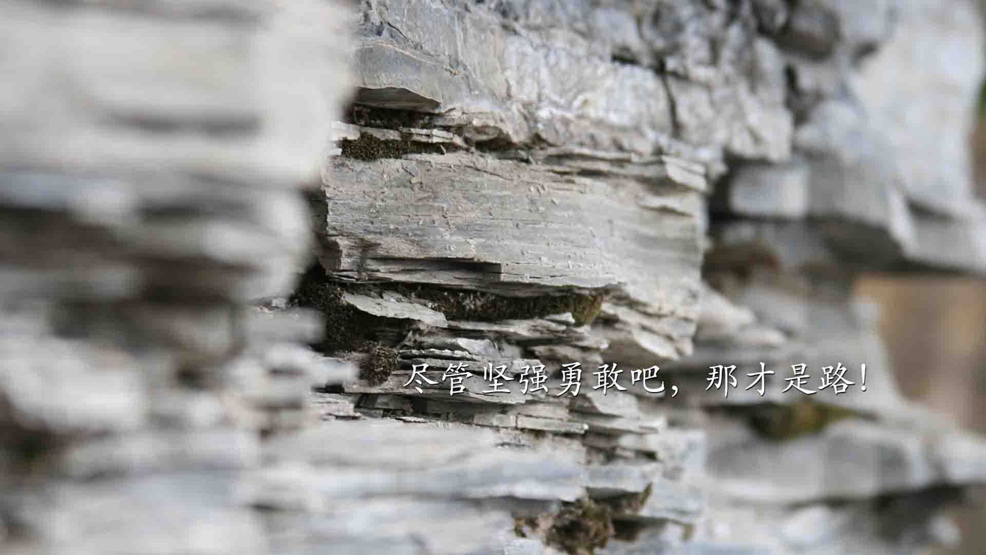 库里驶出新高度,当篮球智慧接管F1新赛季,上海男篮的鏖战哲学与之共鸣