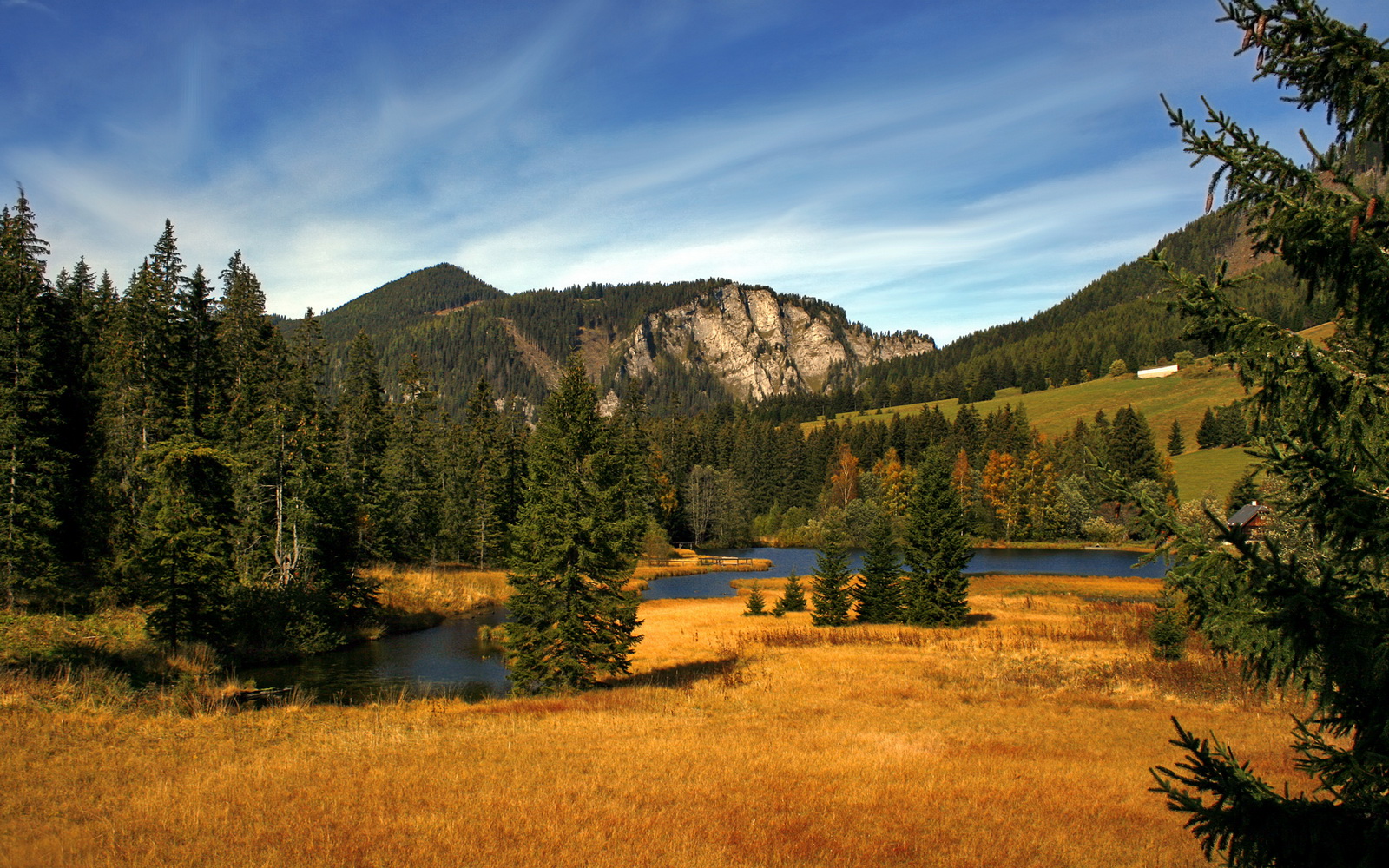钢铁洪流下的孤岛,当禁飞区在字母哥面前沦为传说活塞对阵开拓者一役,映照现代篮球最极致的攻防矛盾与英雄主义