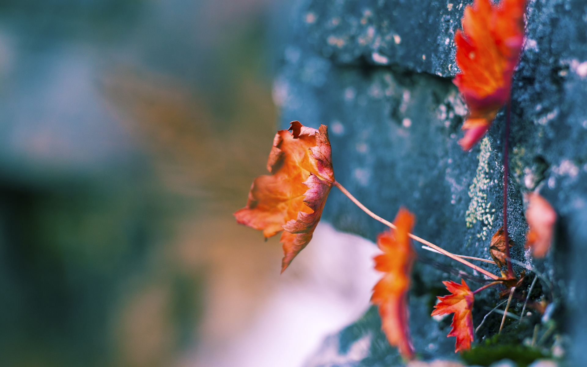震撼降维打击!西亚卡姆34分肆虐禁区,步行者战术体系全面压制吉林队