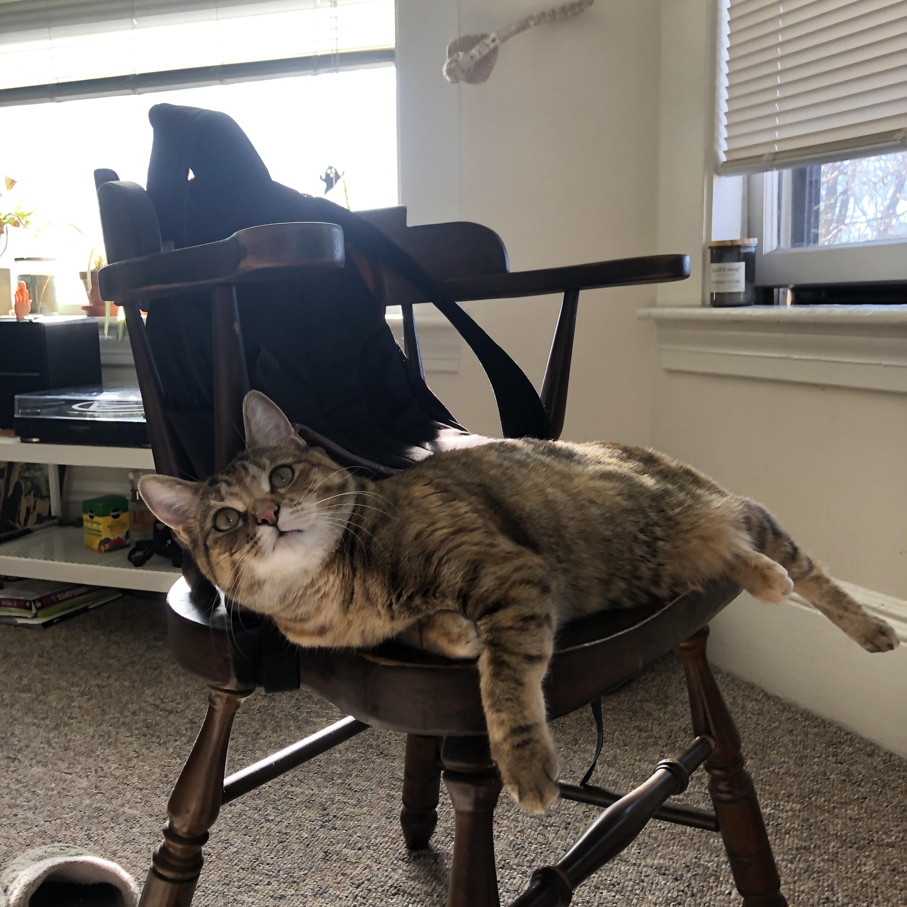 赛道与球场的双重奏，当引擎嘶吼的街道遇上金色浪潮淹没的火焰