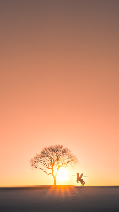 南美桑巴与非洲雄狮的宿命对决，格纳布里的一锤定音