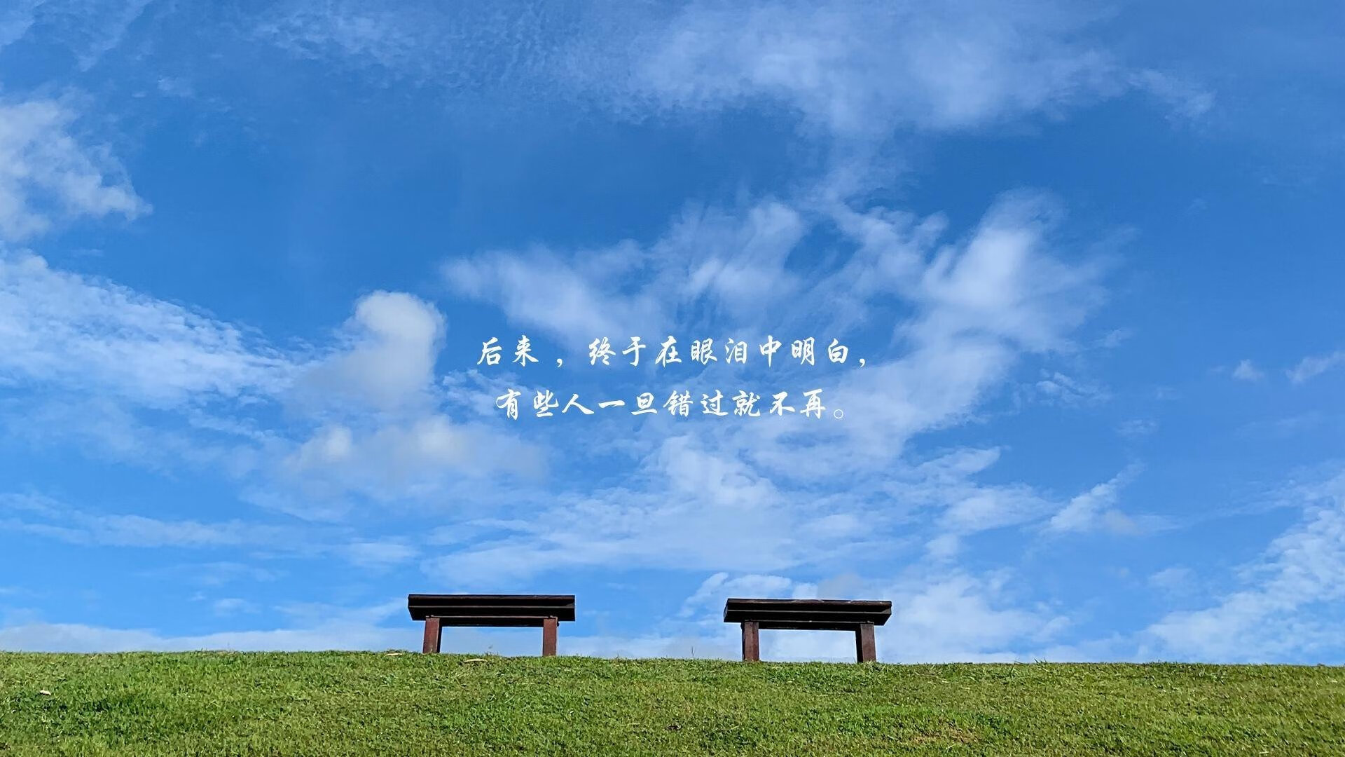 霍勒迪单手撕裂天幕,灰熊用防守密钥锁定胜局