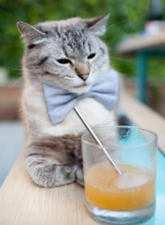 土耳其铁骑横扫西班牙，托尼王者归来领跑意甲焦点战