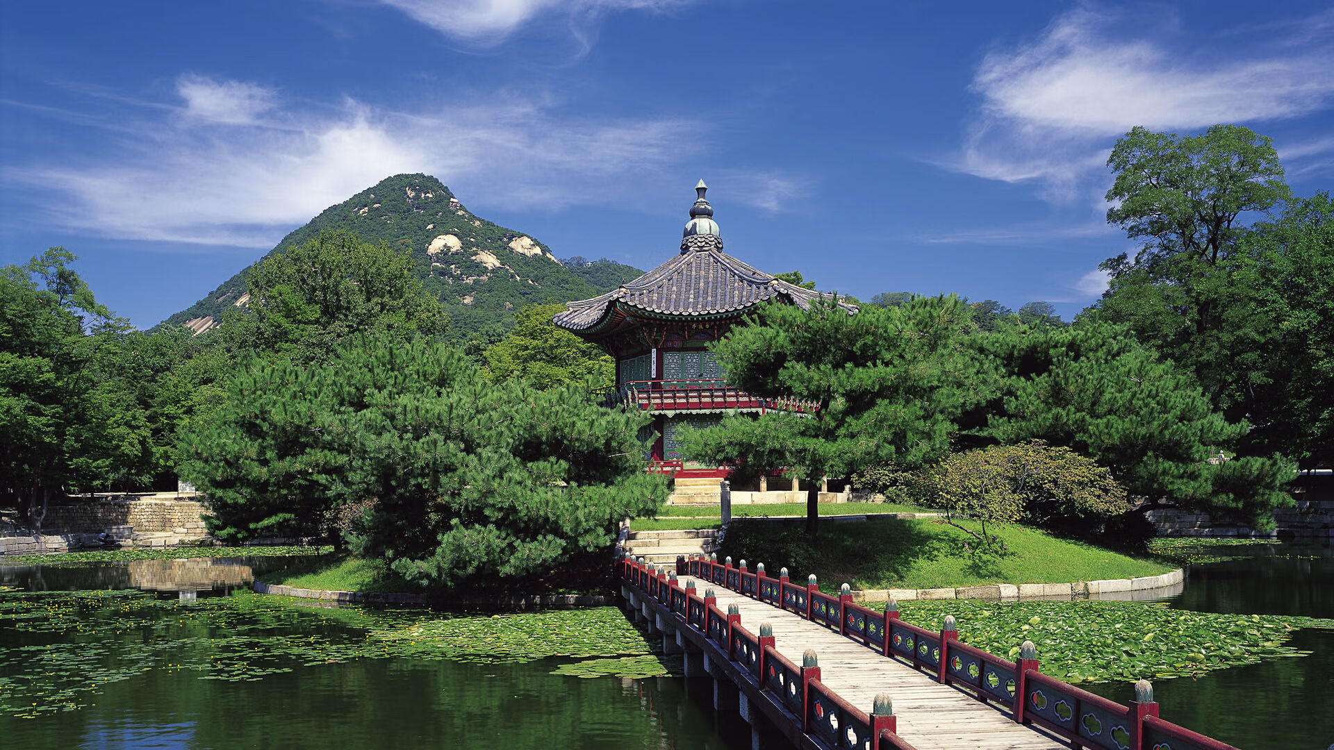 热带雨林与仙人掌沙漠,当福登成为非洲雄狮的答案