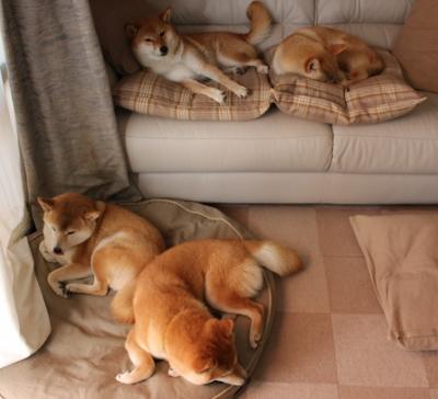 唯一性,当开拓者的红黑风暴席卷汽车城—锡安2077抢七夜铸造新传说