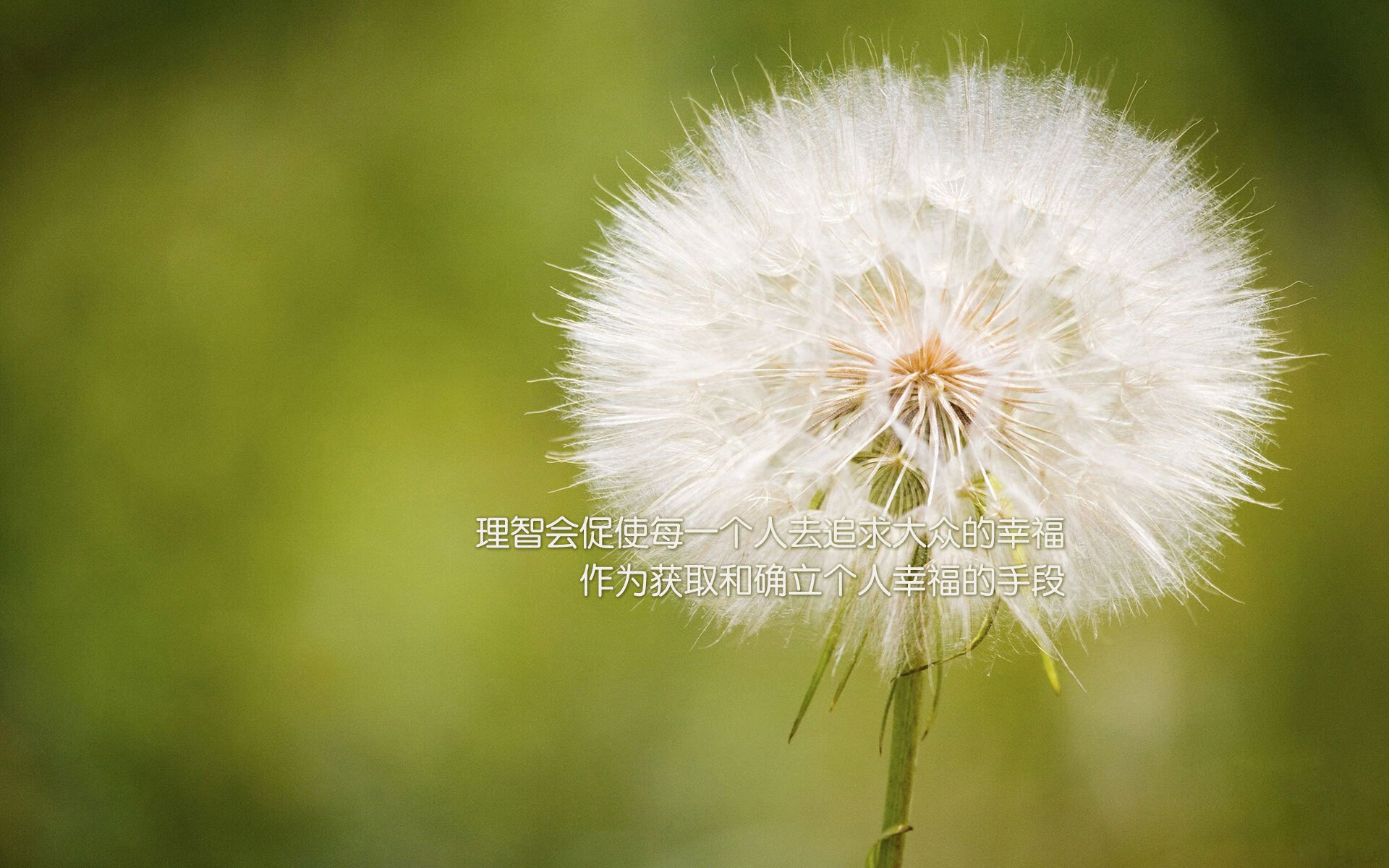 独幕绝唱，2026世界杯A组巅峰对决，哥伦比亚碾压罗马尼亚，苏亚雷斯以神迹定义永恒